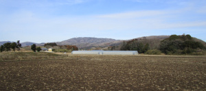 筑波山系の東尾根