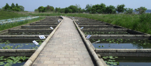 花蓮園 花蓮園