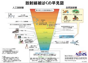 被爆量の早見図