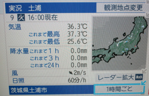データ放送の画面