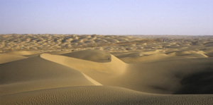 タクラマカン砂漠の景色